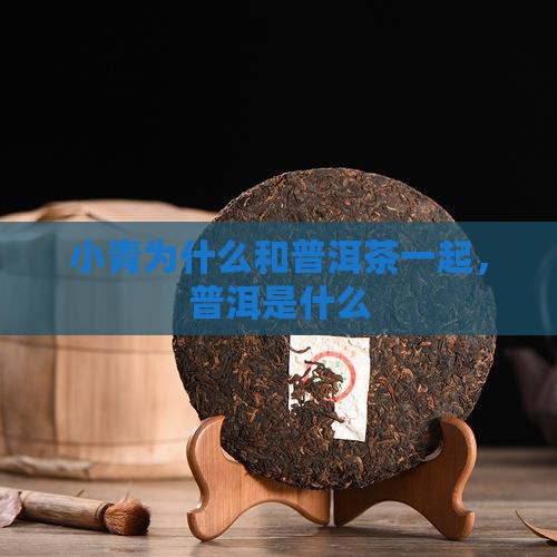 小青柑为什么和普洱茶一起