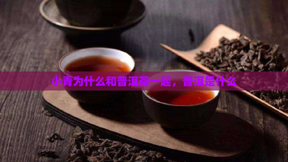 小青柑为什么和普洱茶一起