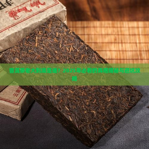 中国普洱茶老大排名第一