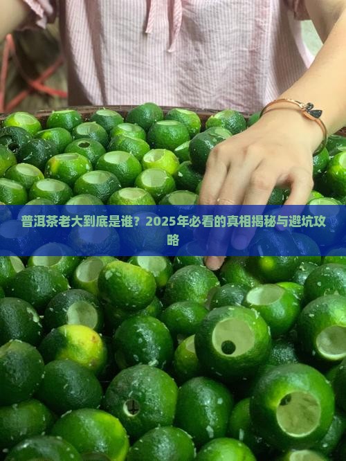 中国普洱茶老大排名第一