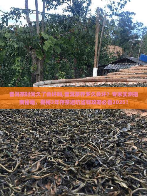 普洱茶时间久了会坏吗