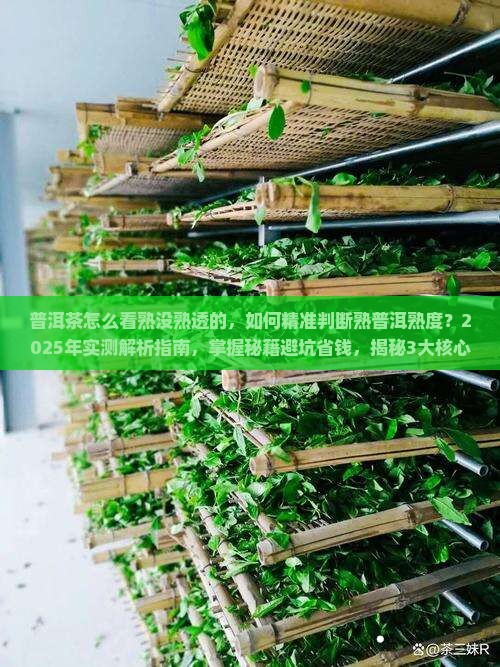 普洱茶怎么看熟没熟透的
