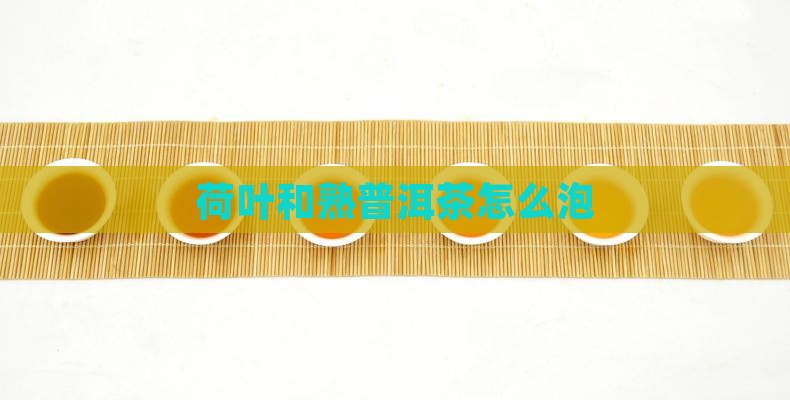 荷叶和熟普洱茶怎么泡