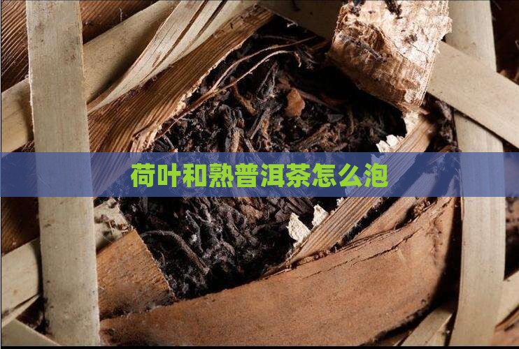 荷叶和熟普洱茶怎么泡