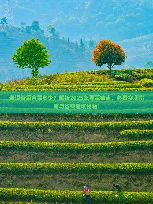 普洱茶氟含量多少