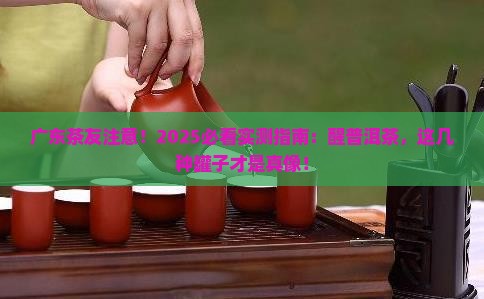广东适合用什么罐醒普洱茶