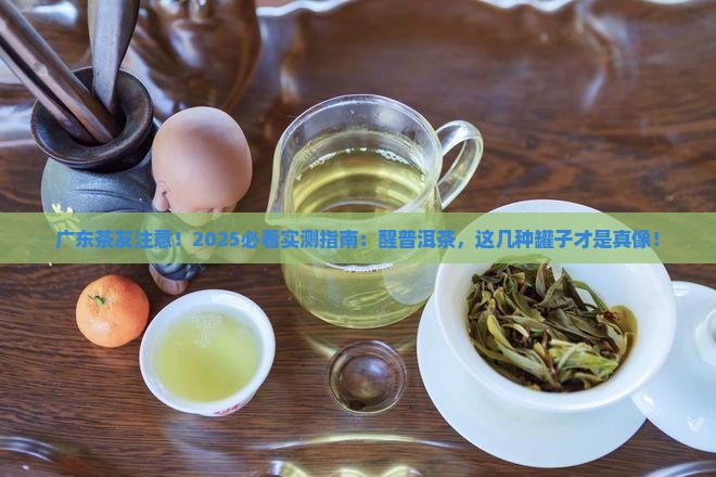 广东适合用什么罐醒普洱茶