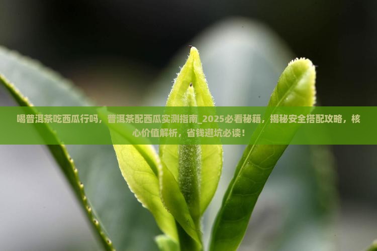 喝普洱茶吃西瓜行吗