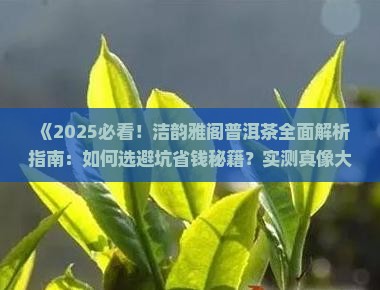 洁韵雅阁普洱茶
