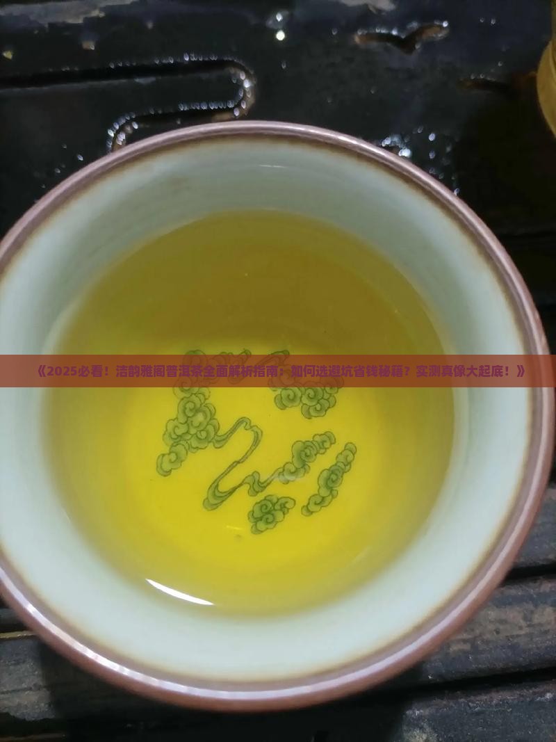洁韵雅阁普洱茶