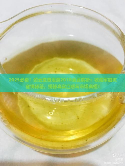 酌云堂普洱茶2018易武