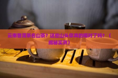云南普洱茶名山茶