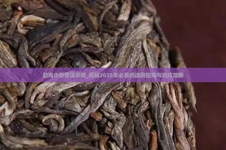 勐海中茶普洱茶砖