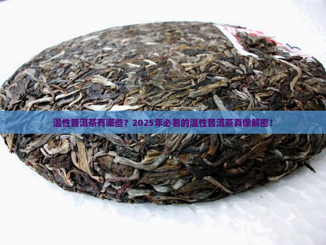 温性普洱茶品种有哪些种类