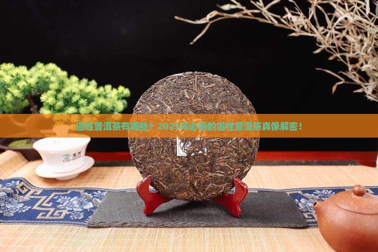 温性普洱茶品种有哪些种类