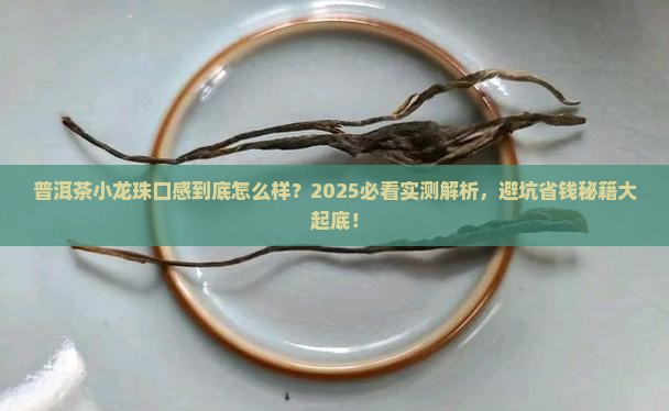 普洱茶小龙珠口感