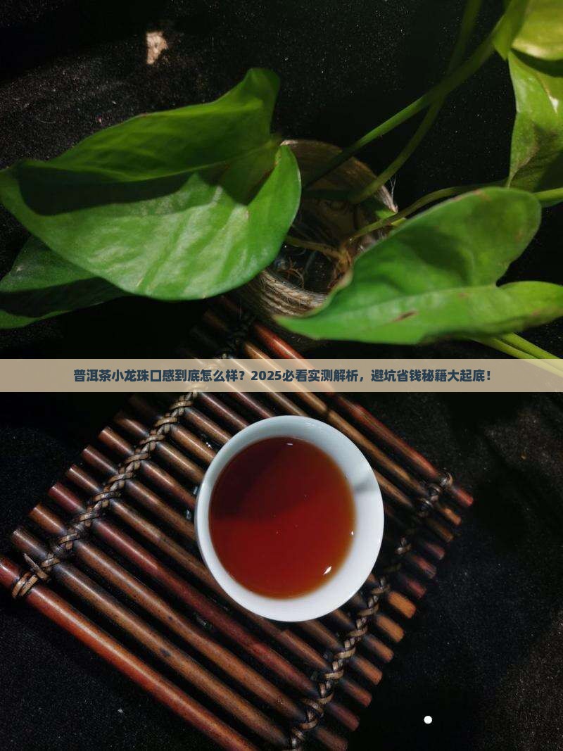 普洱茶小龙珠口感