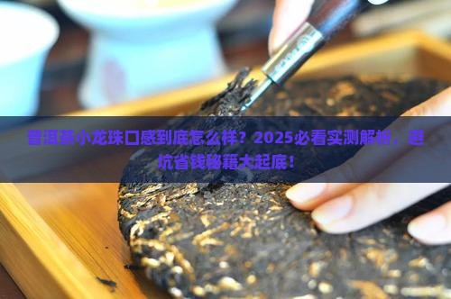 普洱茶小龙珠口感