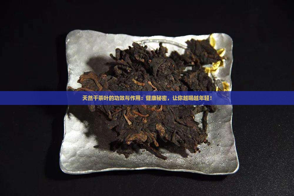 天然干茶叶的功效与作用