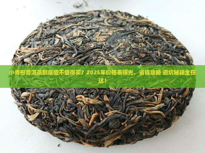 翡翠小青柑普洱茶价格表