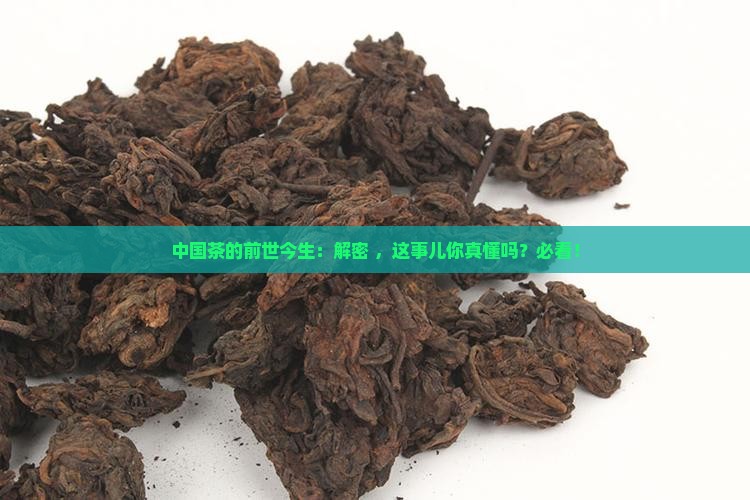 中国茶的起源与历史