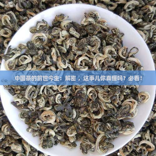 中国茶的起源与历史