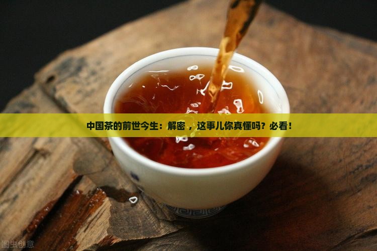 中国茶的起源与历史