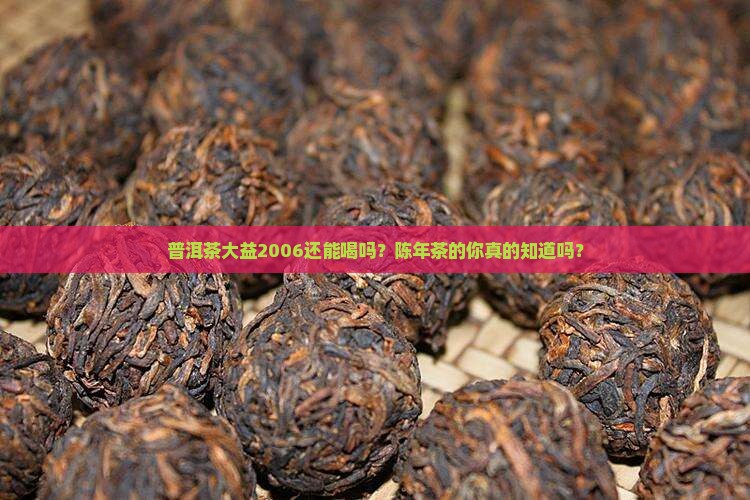 普洱茶大益2006