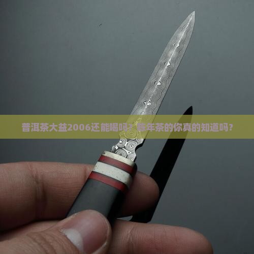 普洱茶大益2006