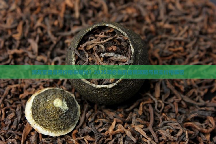 清友堂普洱茶价格表