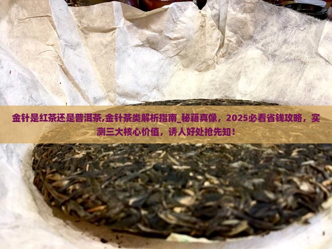 金针是红茶还是普洱茶