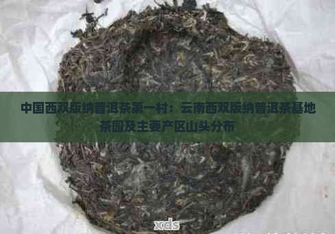 中国西双版纳普洱茶第一村