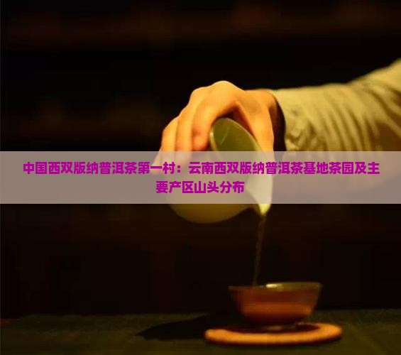 中国西双版纳普洱茶第一村