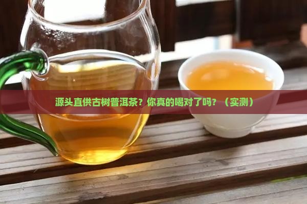 源头直供古树普洱茶