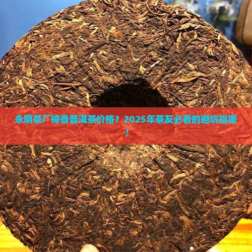 永明茶厂樟香普洱茶价格