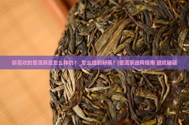 你喜欢的普洱茶是怎么样的