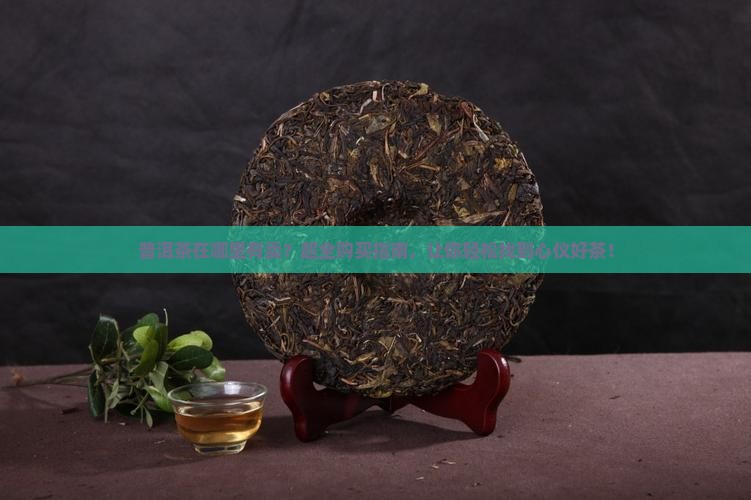 普洱茶在哪里有卖 普洱茶在哪里有卖
