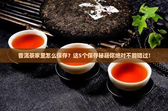 普洱茶家里怎么保存