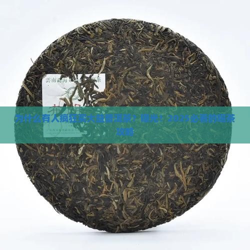 为什么有人购买大益普洱茶
