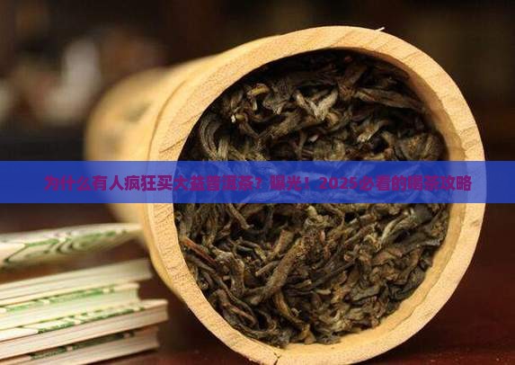 为什么有人购买大益普洱茶