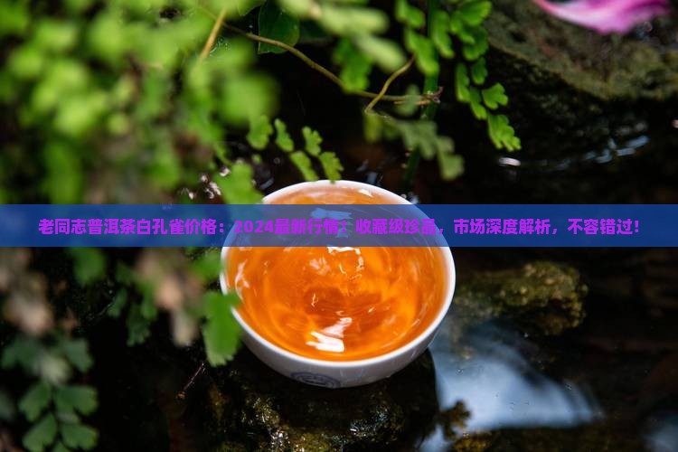 老同志普洱茶白孔雀价格