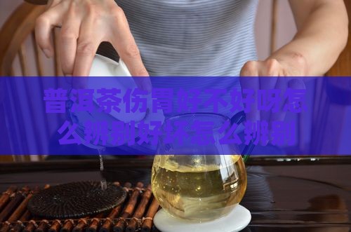普洱茶伤胃好不好呀怎么辨别