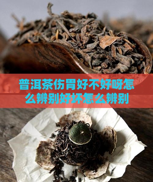 普洱茶伤胃好不好呀怎么辨别