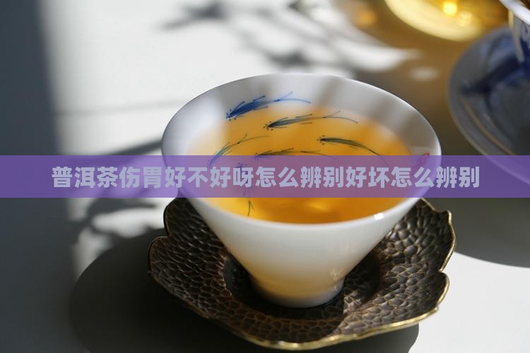 普洱茶伤胃好不好呀怎么辨别