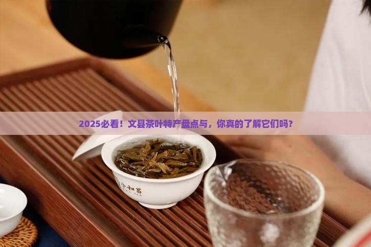 文县茶叶特产有哪些