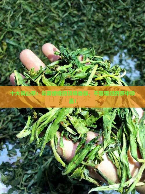 台湾十大高山茶