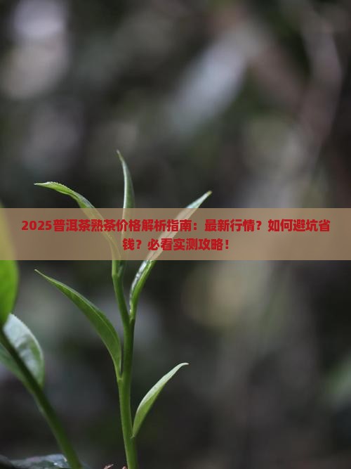 2022普洱茶熟茶价格