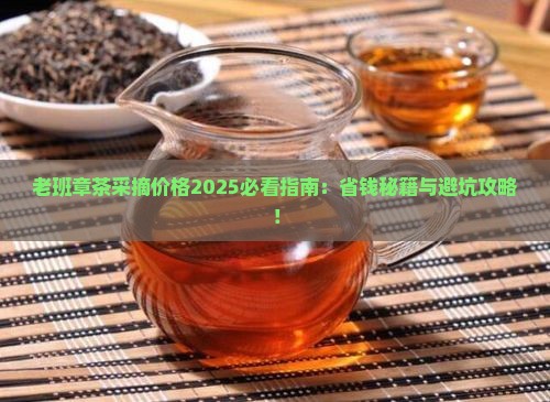 老班章茶采摘价格
