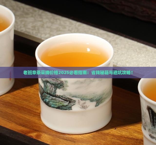 老班章茶采摘价格