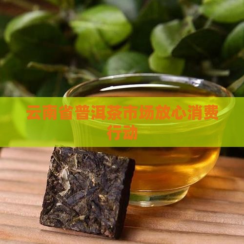 普洱茶放心消费行动